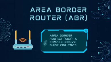 Area Border Router (ABR)